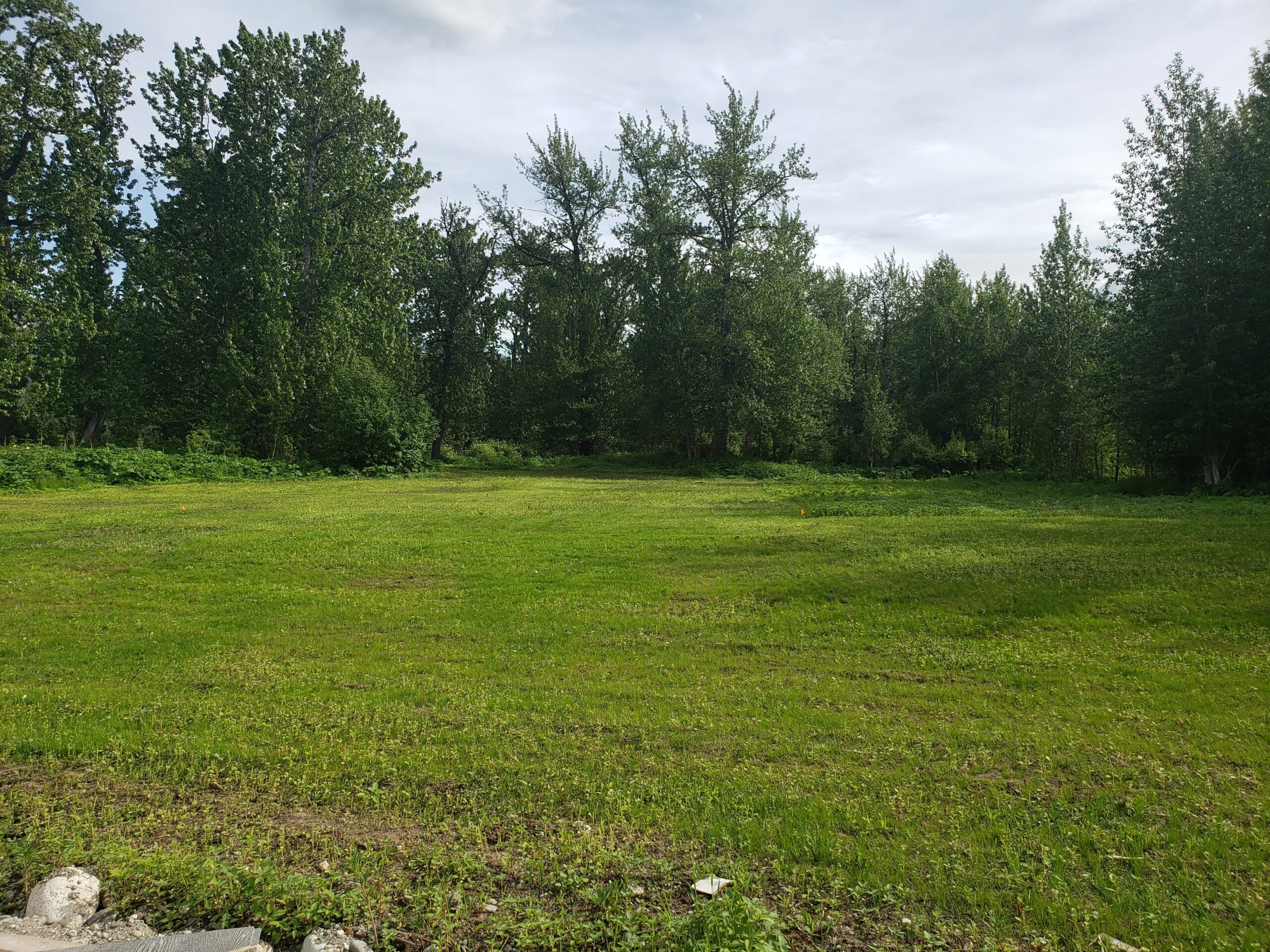 Surviving Alaska’s Mud Season: Family, Delays, and Lessons from the Yurt Build