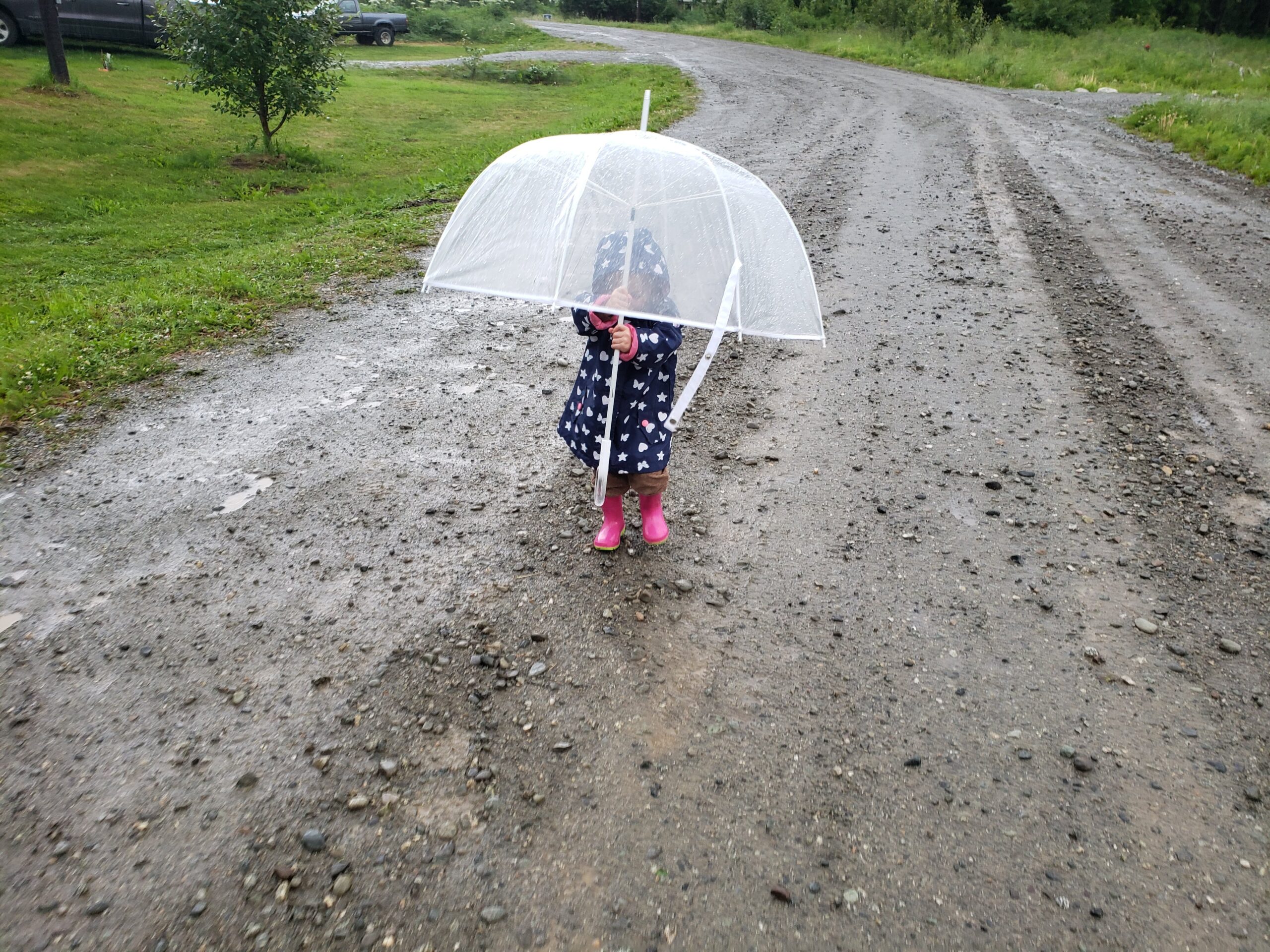 Rain on a Yurt Roof Reset My Priorities While Building a Homestead in Alaska